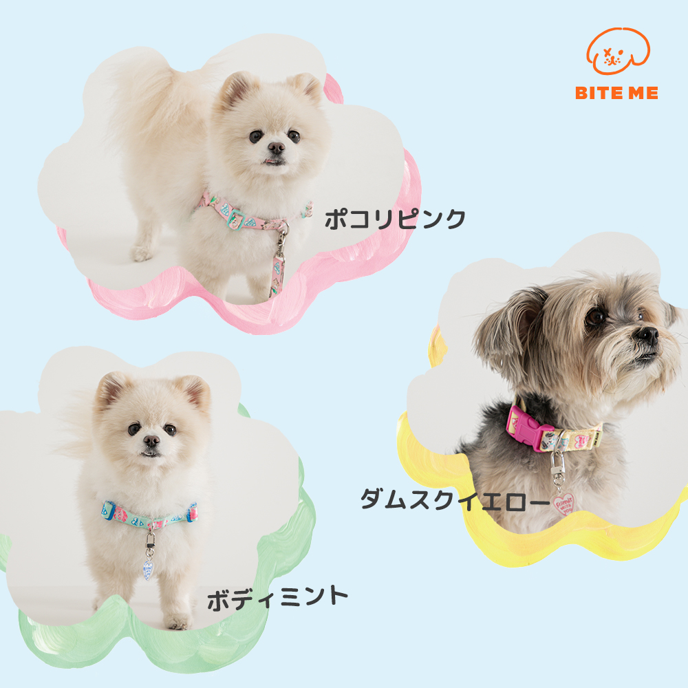 BITE ME×POKORI Friends アドベンチャー首輪 | ペット用の食品・用品・衣類